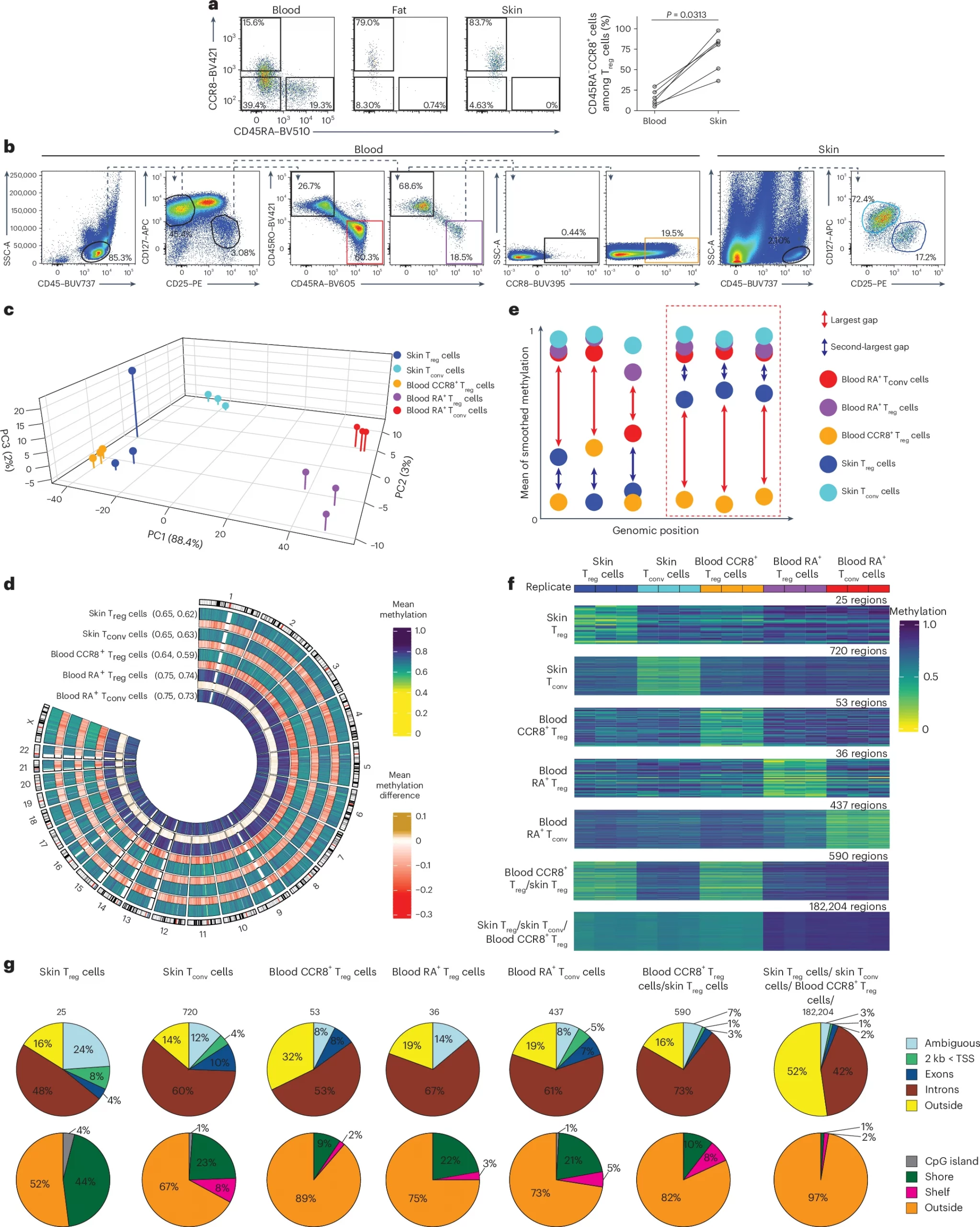 Epigenetic ‘Fingerprint’ Reveals How Regulatory T Cells Adapt to Heal Tissues