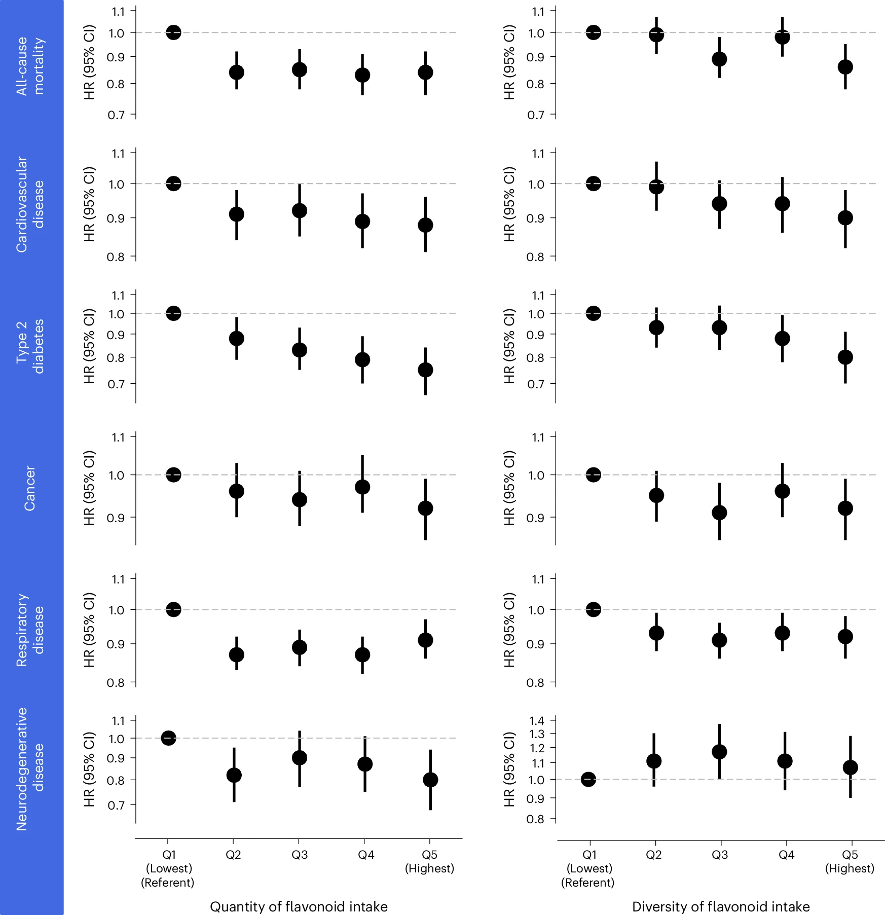 Mix It Up: Diverse Flavonoid Intake Linked to Longer Life and Lower Disease Risk