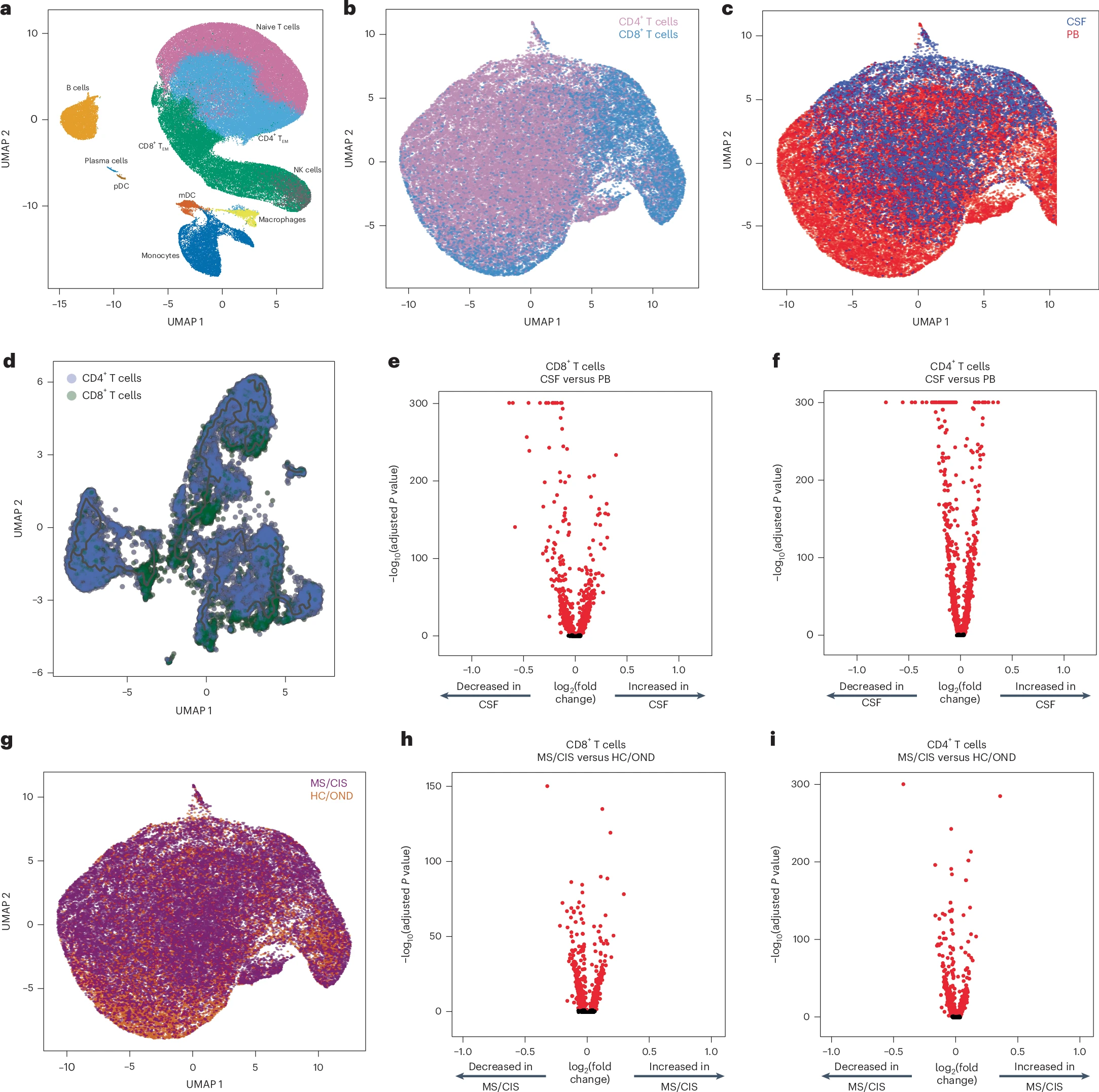EBV-Targeting Killer T Cells May Drive Immune Damage in Multiple Sclerosis