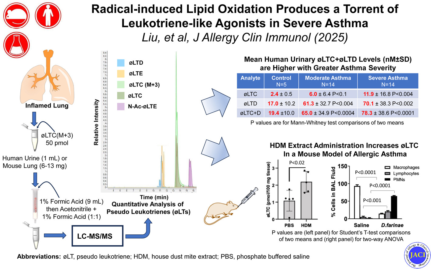 Rethinking Asthma: New Molecules May Be Driving Lung Inflammation