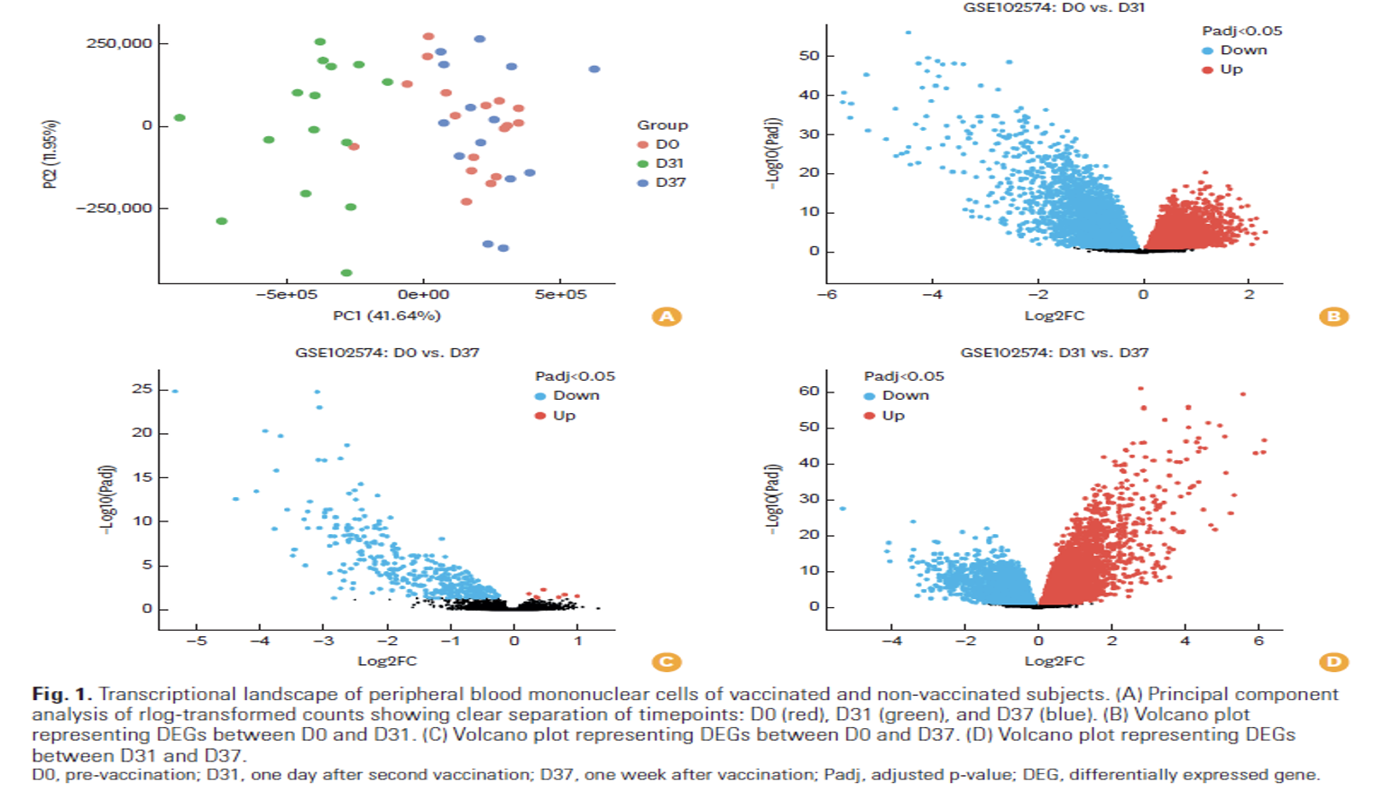 New insights – the workings of the M72/AS01E vaccine against tuberculosis