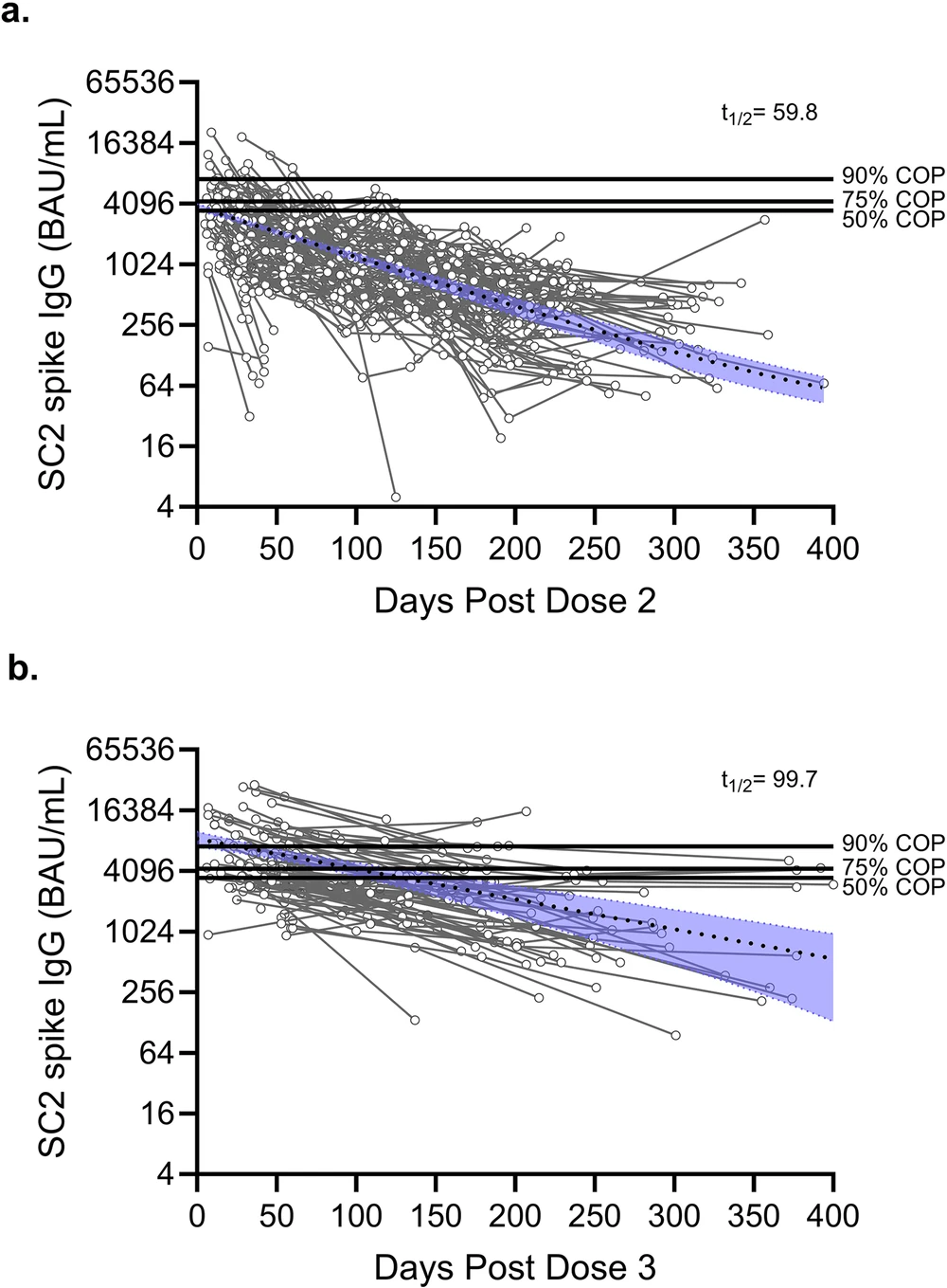 How Long Do COVID-19 Vaccine Antibodies Last and Why Hybrid Immunity Matters