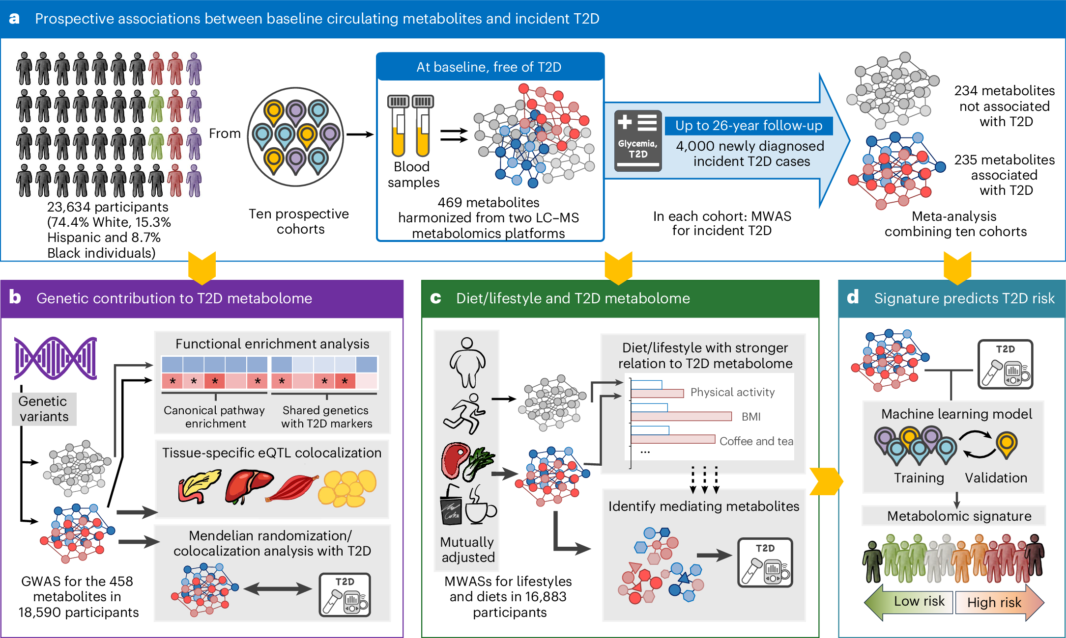 Blood Metabolites Reveal Long-Term Risk for Type 2 Diabetes