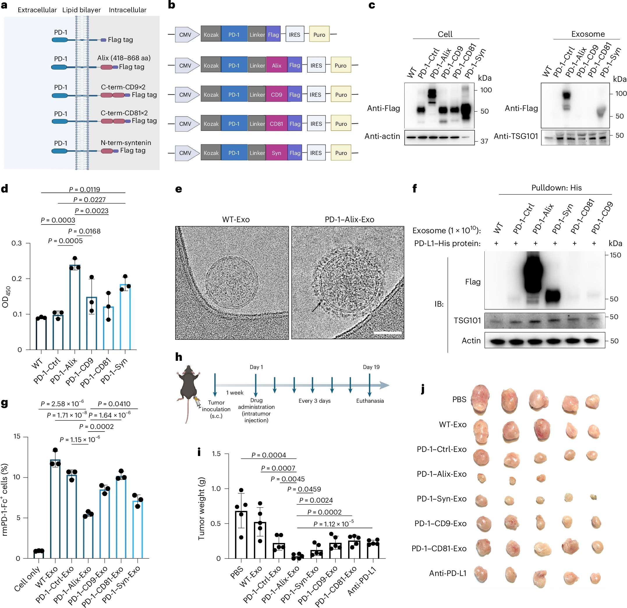 Inhalable Nanotherapy Reawakens Immune Responses in Checkpoint-Resistant Cancer