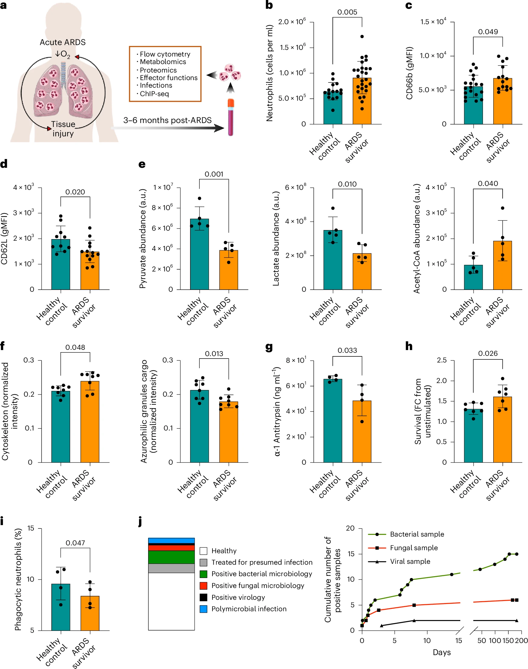 How Low Oxygen Reprograms the Immune System