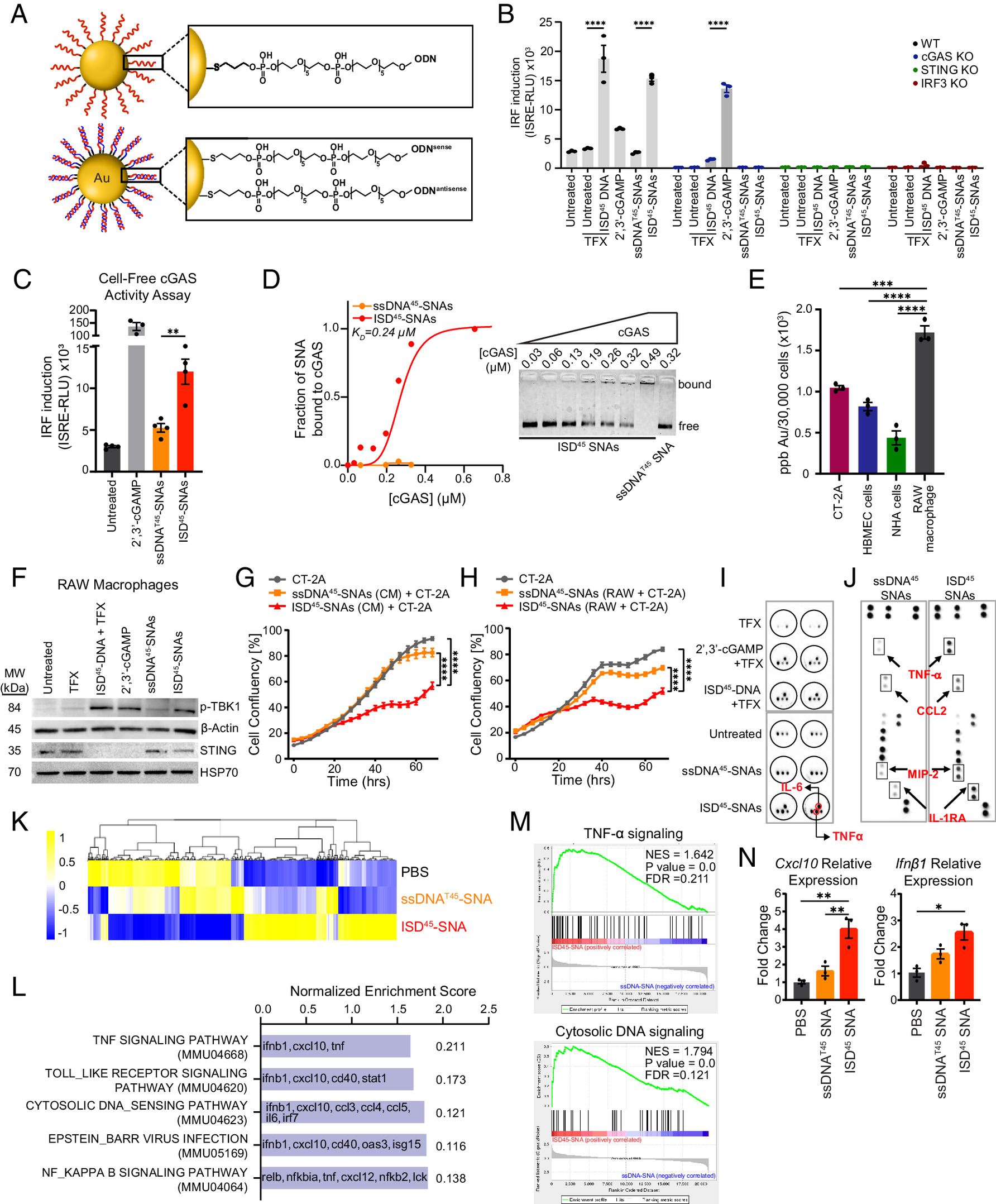 Nanodrops Through the Nose: A New Way to Treat Brain Cancer